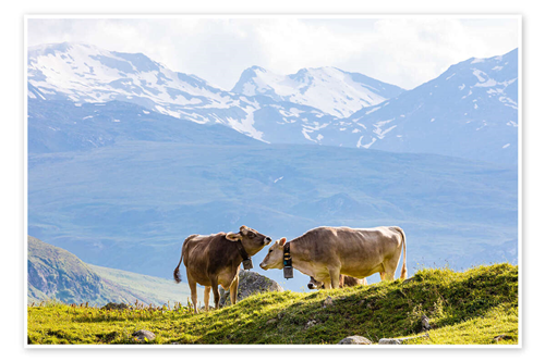 Bando di gara tramite procedura aperta per la concessione in uso di edifici rurali e relativi pascoli di proprietà comunale soggetti ad uso civico per le stagioni di alpeggio 2026-2029 - Lotto 1-2-3